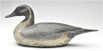 Pintail - Fresh Air Dick