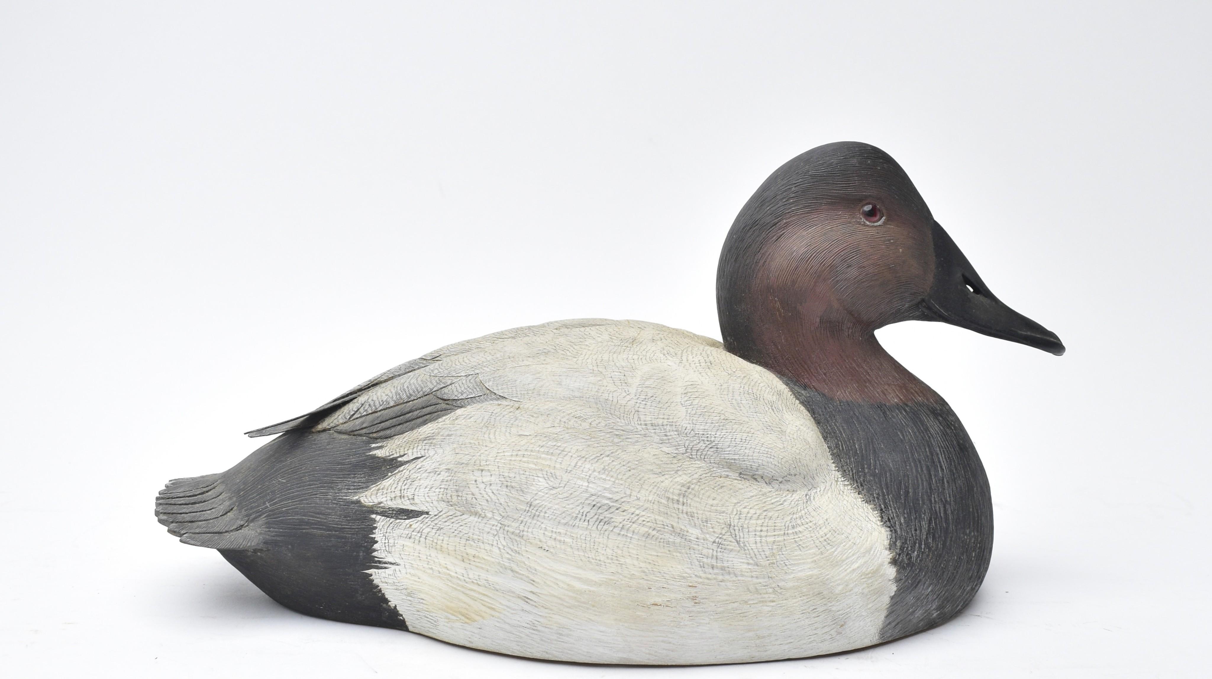 Artwork by Fred Muhs, Untitled, Made of canvasback