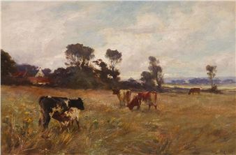 CATTLE GRAZING NEAR CAMBUSKENNETH - Joe Milne