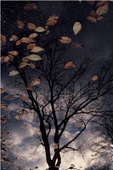 After the Storm - Robert Gambee