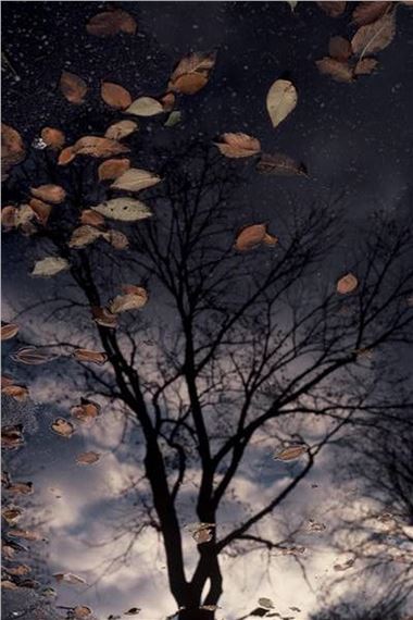 After the Storm - Robert Gambee