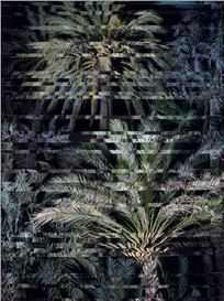 Deutsche Bank Lounge at Frieze London 2025 to host Noémie Goudal: Inhale Exhale