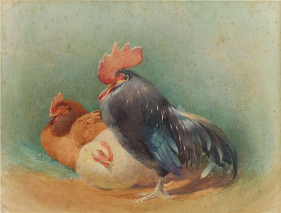 Study of Fowls in a Farmyard - Lindsay Grandison Macarthur