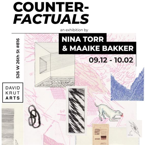 Nina Torr & Maaike Bakker: Counterfactuals: An Interactive Eventuality - David Krut Projects, New York