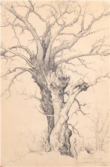 Árbol - Antonio Fernández Gómez