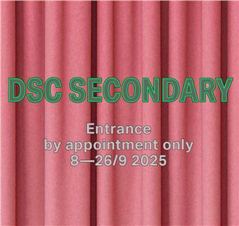 DSC Secondary - DSC Gallery