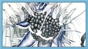 Marlene McCarty: ExhibitionSasi Guztien Gainetik - Tabakalera