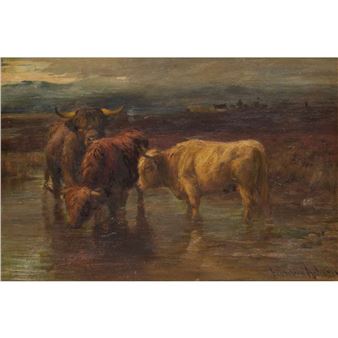 HIGHLAND CATTLE WATERING - Joseph Denovan Adam