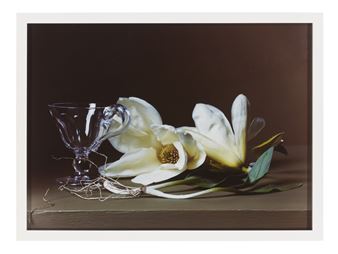 Magnolia with Wild Leeks, - Sharon Core