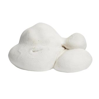 Stem Cell - Patricia Piccinini