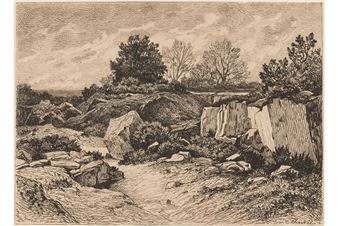 BMA opens Deconstructing Nature: Environmental Transformation in the Lucas Collection