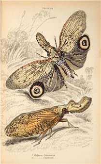 Old books, autographs and manuscripts - Venator & Hanstein