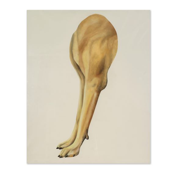 Pattes de chien
1988