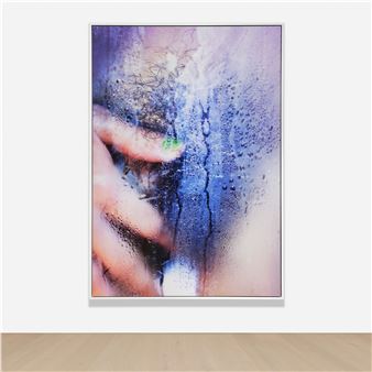 Plush #24 - Marilyn Minter