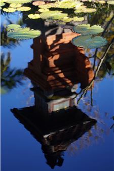 Student Photography: Student Photography Institute Exhibition - Artis—Naples, The Baker Museum