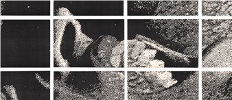 Hudinilson Jr.: Echoes in Xerox