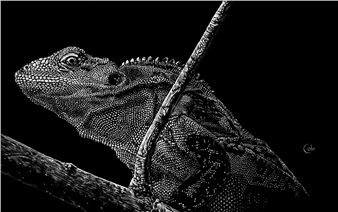 Nathan Cole: Nature’s Diversity Around Us: Rewilding Through Art - Cedar Ridge Creative Centre