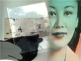 Janice Tanaka: Memories from the Department of Amnesia - University of Maryland The Art Gallery