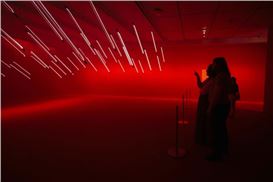 Five Museum Shows to See During Houston Art Week
