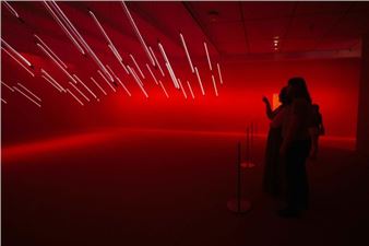 Five Museum Shows to See During Houston Art Week