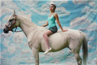 Containing Multitudes - Minneapolis Institute of Art