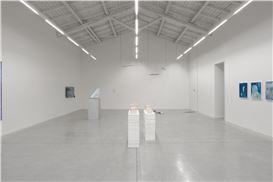 Never Twice: fragments of uniqueness in the work of six young artists at the Enrico Astuni Gallery