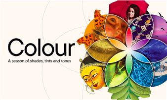 Colour: A season of shades, tints & tones