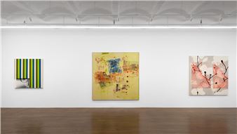 Andy Meerow: Heart of Palm - Derosia