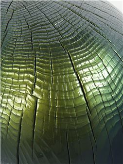 Jesse Schlesinger: Pacific