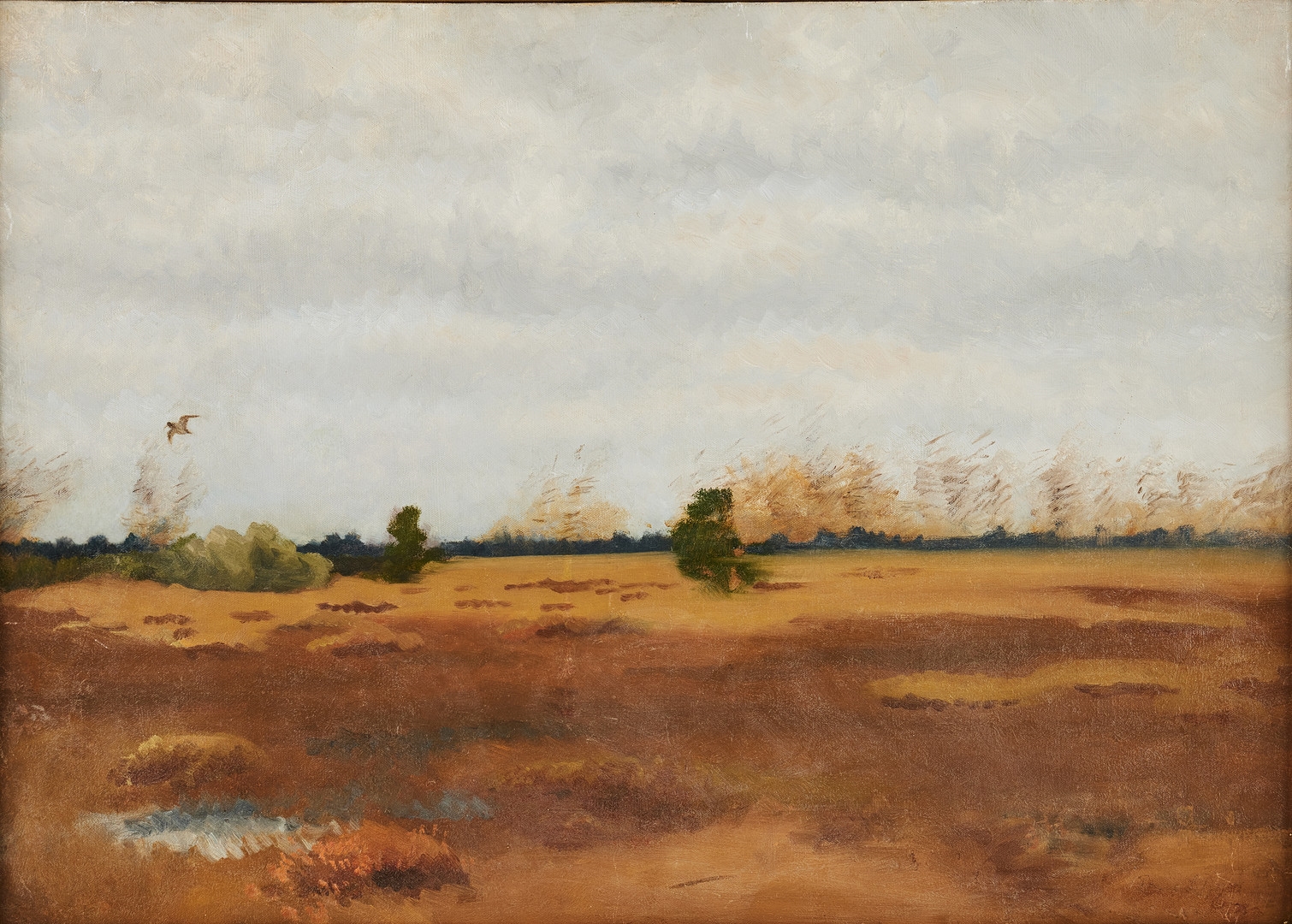 Artwork by Bruno Liljefors, Sumpmark med beckasin, skiss, Made of oil on canvas