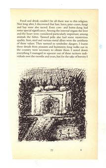 Nick Schutzenhofer: Dust Jacket - MICKEY