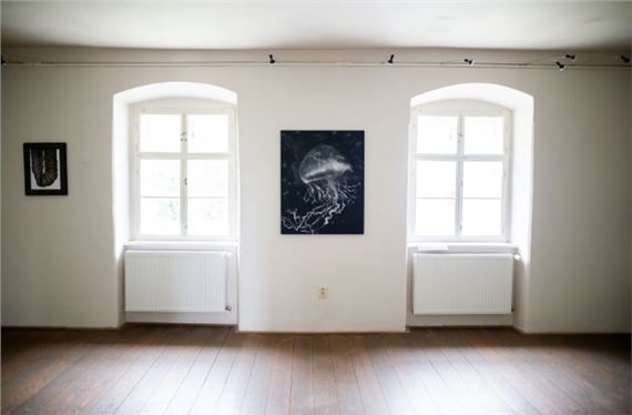 Lucia Fabová: Odpoveď je niekde medzi nula a nekonečno - Schemnitz Gallery