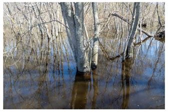 Hilary Tolan: Waterland - Kingston Gallery