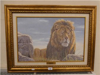 Backlit Prince - Stephen Gayford