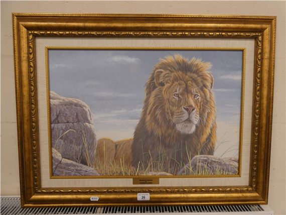 Backlit Prince - Stephen Gayford