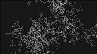 Lab212: Growing - Kunstsilo