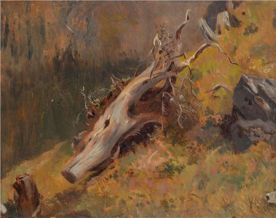 Souche d'arbre en Valais by Eugène Etienne Sordet
