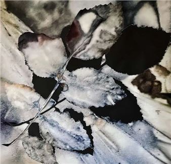 Mary K VanGieson: Chasing the Ephemeral - Dixon Gallery and Gardens