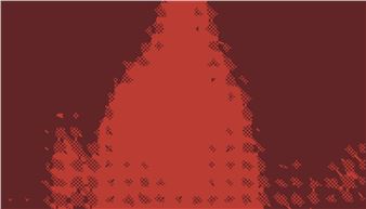 Lerato Shadi and Robin Rhode: A Protea Is Not a Flower