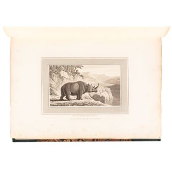 Interesting Selections from Animated Nature with Illustrated Scenery - William Daniell