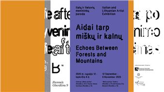 Echoes Between Forests and Mountains