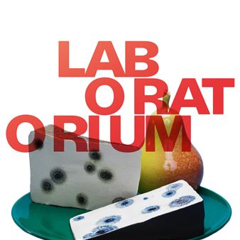 Laboratorium: Claydies - Designmuseum Danmark