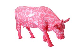 Ingram Image Shots - Rudy Herrera