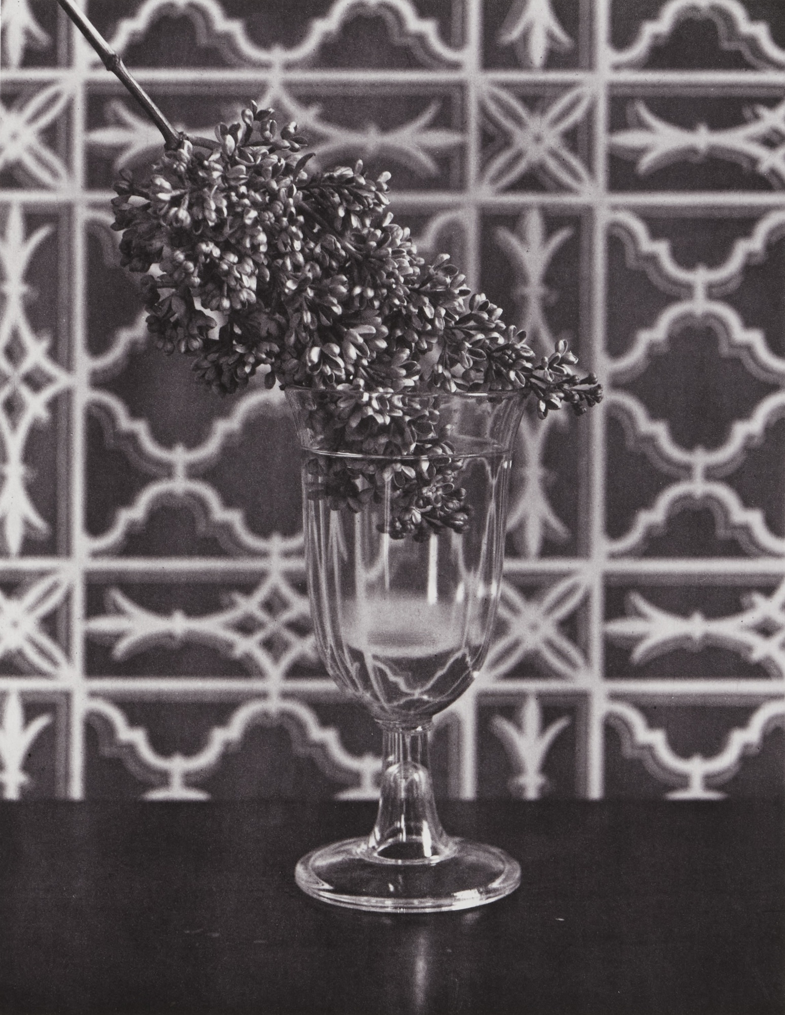 Artwork by David McDermott, Peter Thomas McGough, Experiment of coloring in Green some Lilacs with Ammoniacal Ether (from Sentimental Education, Made of photogravure