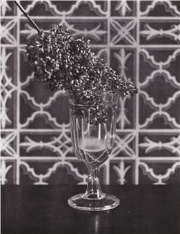 Experiment of coloring in Green some Lilacs with Ammoniacal Ether (from Sentimental Education - David McDermott