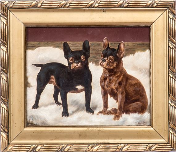 Zwei französische Bulldoggen