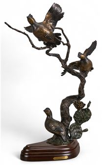 Desert Bloom - Dan Pogue