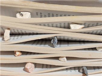 New group exhibition showcases four photographers at Galerie Ron Mandos