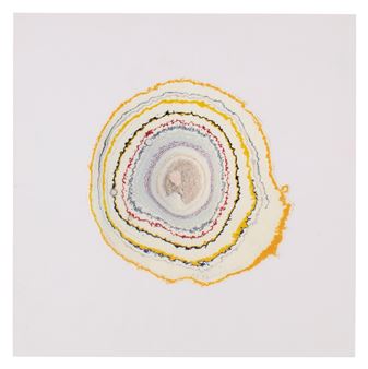 A layered, concentric abstract composition resembling a cross-section of a tree ring or geological sample.