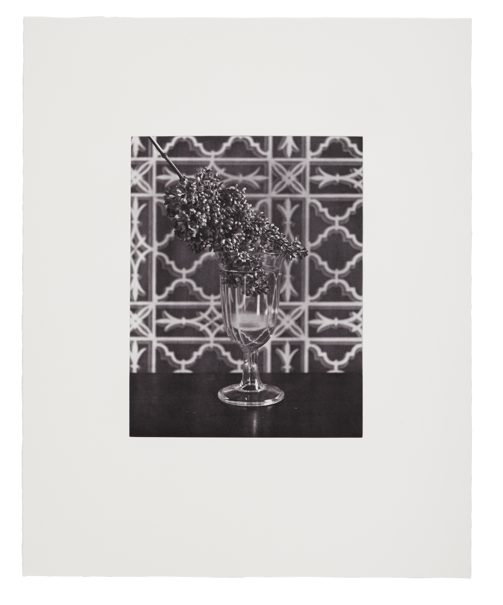 Artwork by David McDermott, Peter Thomas McGough, Experiment of coloring in Green some Lilacs with Ammoniacal Ether (from Sentimental Education, Made of photogravure